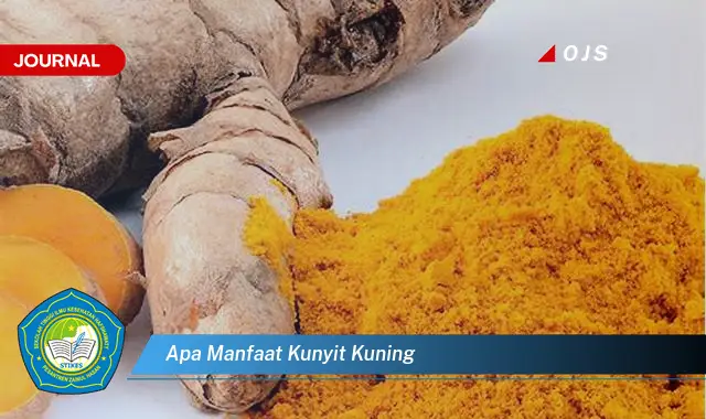 apa manfaat kunyit kuning