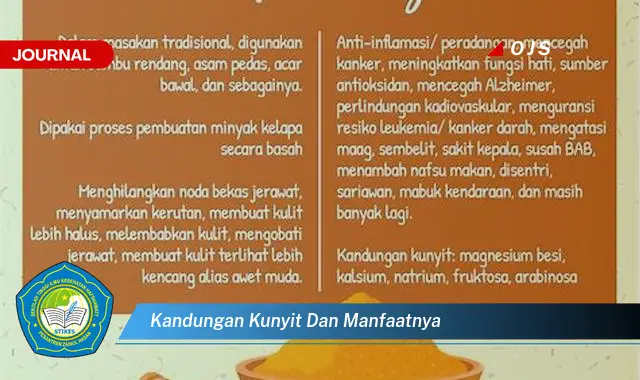 kandungan kunyit dan manfaatnya