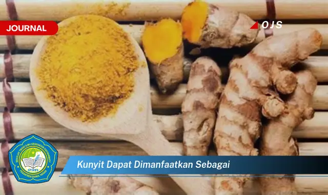 kunyit dapat dimanfaatkan sebagai kunyit dapat dimanfaatkan sebagai