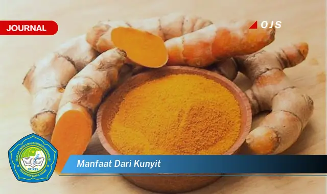 manfaat dari kunyit