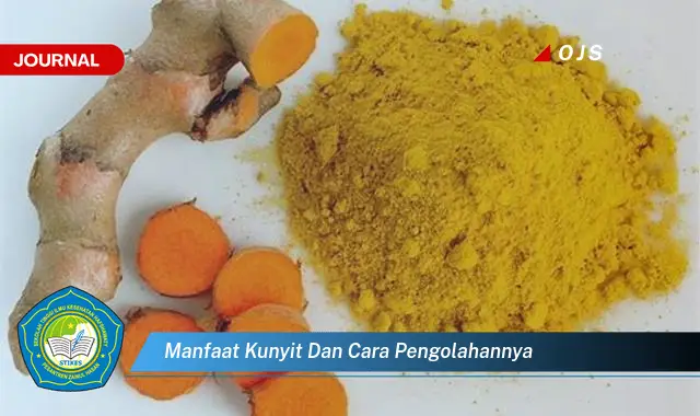 manfaat kunyit dan cara pengolahannya