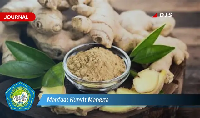 manfaat kunyit mangga