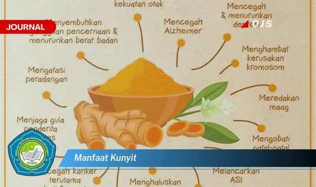 manfaat kunyit