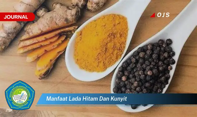 manfaat lada hitam dan kunyit