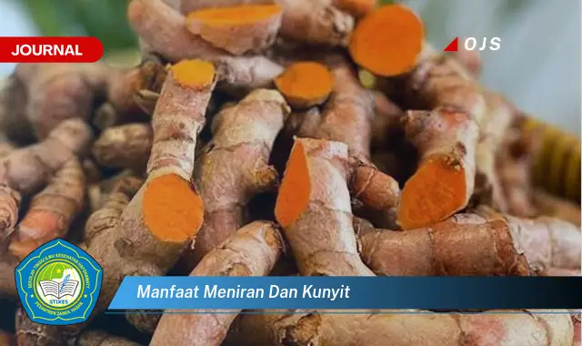 manfaat meniran dan kunyit