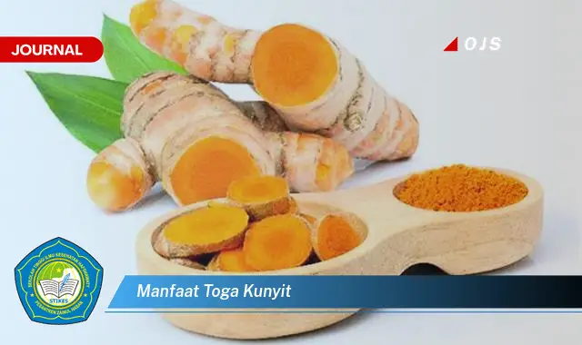 manfaat toga kunyit