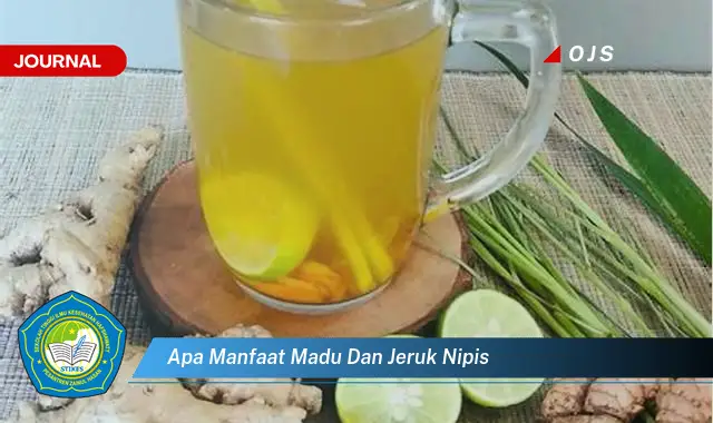 apa manfaat madu dan jeruk nipis