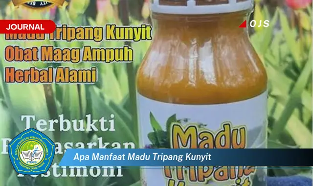 apa manfaat madu tripang kunyit apa manfaat madu tripang kunyit
