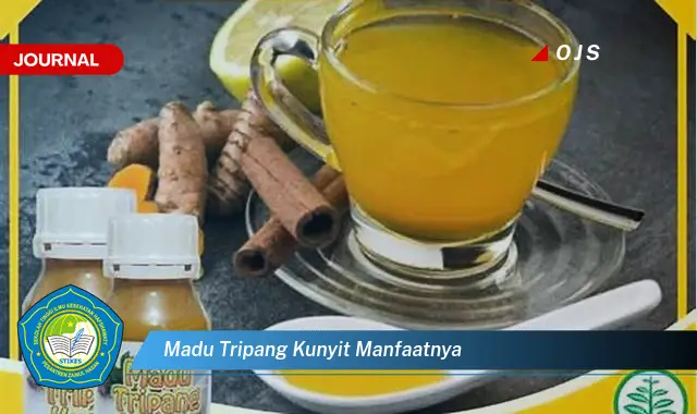 madu tripang kunyit manfaatnya madu tripang kunyit manfaatnya