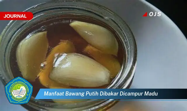 manfaat bawang putih dibakar dicampur madu manfaat bawang putih dibakar dicampur madu