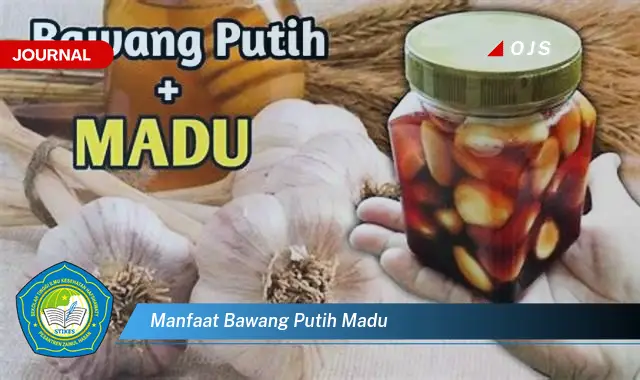 manfaat bawang putih madu