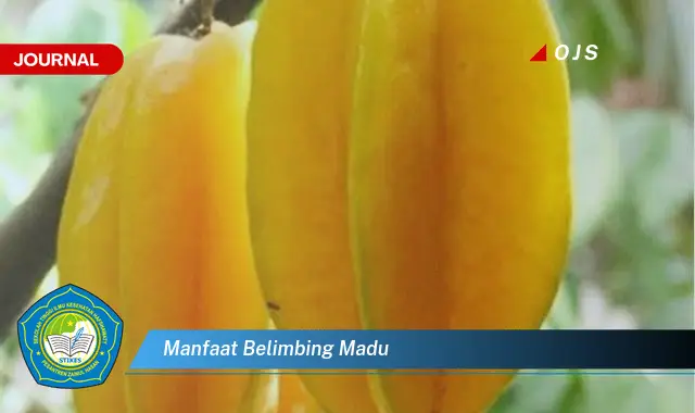 manfaat belimbing madu