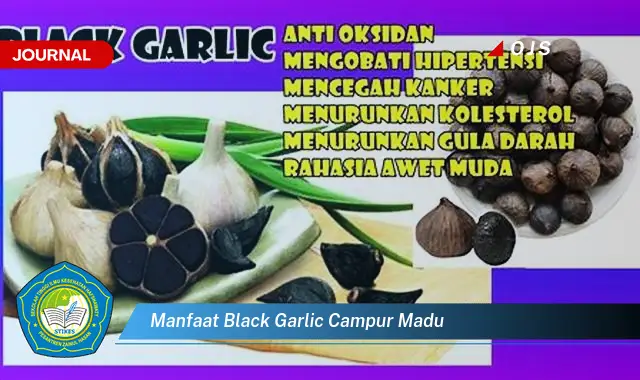 manfaat black garlic campur madu manfaat black garlic campur madu
