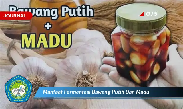 manfaat fermentasi bawang putih dan madu