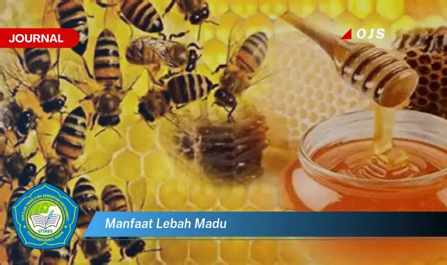 manfaat lebah madu manfaat lebah madu