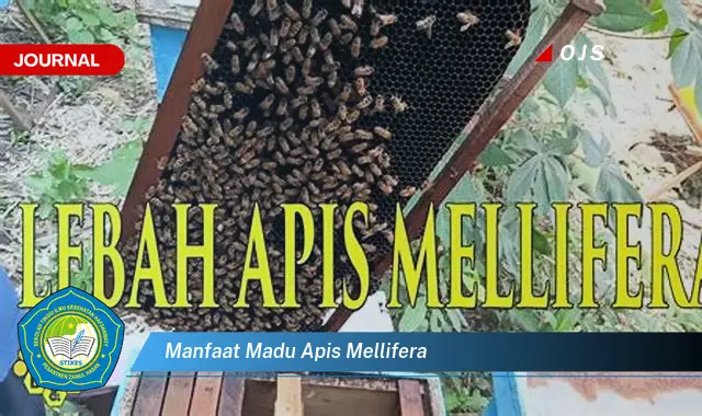 manfaat madu apis mellifera