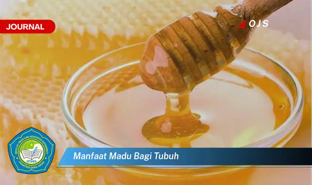 manfaat madu bagi tubuh