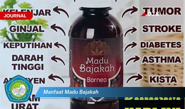 manfaat madu bajakah