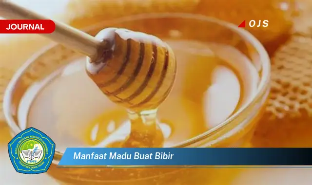 manfaat madu buat bibir manfaat madu buat bibir