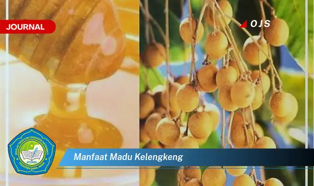 manfaat madu kelengkeng