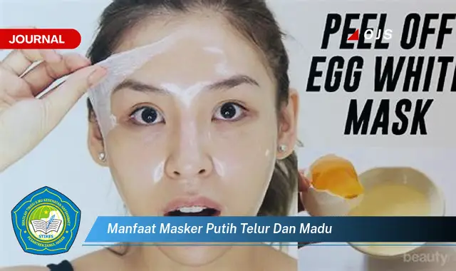 manfaat masker putih telur dan madu manfaat masker putih telur dan madu