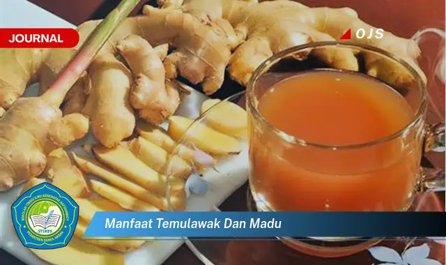 manfaat temulawak dan madu