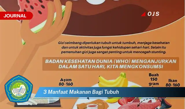 3 manfaat makanan bagi tubuh