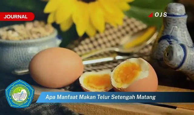 apa manfaat makan telur setengah matang apa manfaat makan telur setengah matang