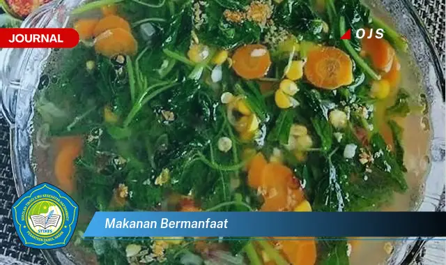 makanan bermanfaat