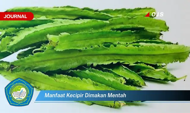 manfaat kecipir dimakan mentah