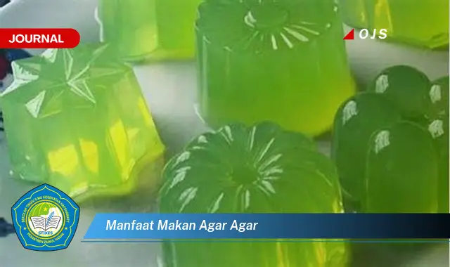 manfaat makan agar agar