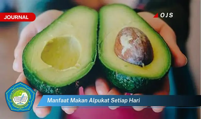 manfaat makan alpukat setiap hari