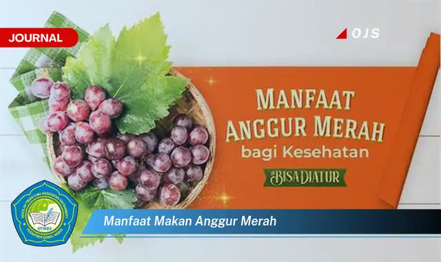 manfaat makan anggur merah