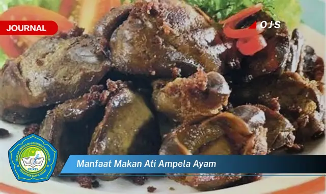 manfaat makan ati ampela ayam manfaat makan ati ampela ayam