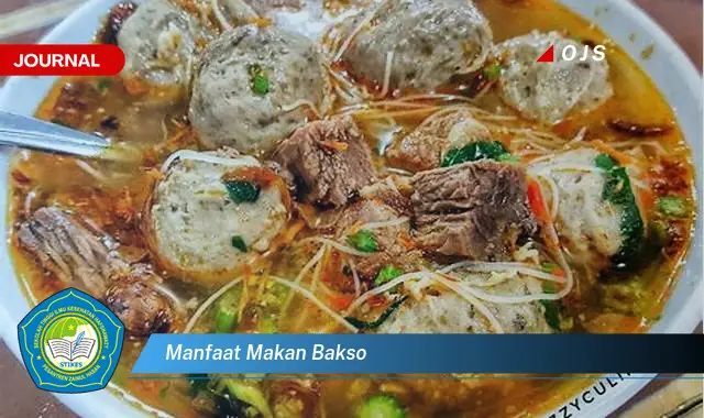 manfaat makan bakso manfaat makan bakso