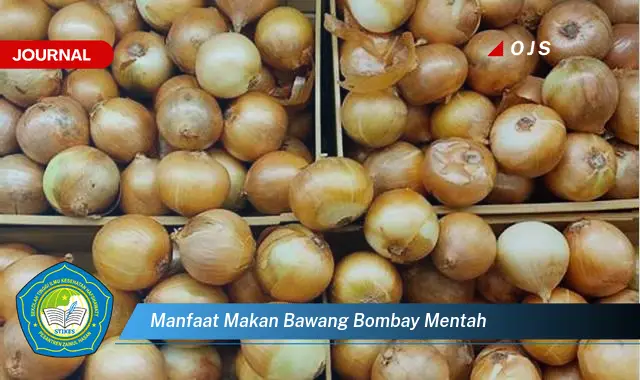 manfaat makan bawang bombay mentah