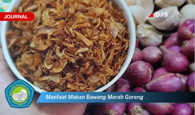 manfaat makan bawang merah goreng