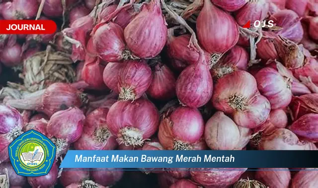 manfaat makan bawang merah mentah