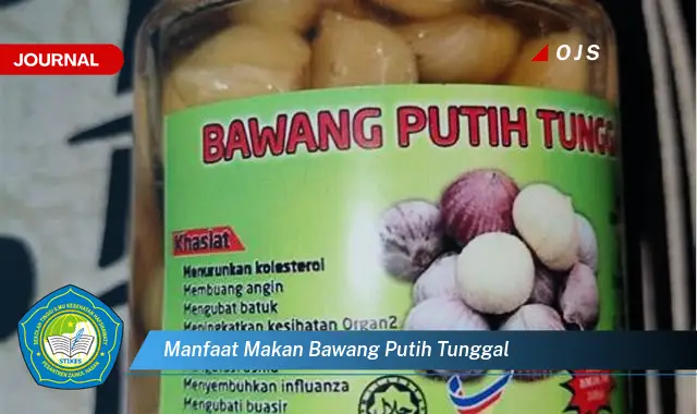 manfaat makan bawang putih tunggal manfaat makan bawang putih tunggal