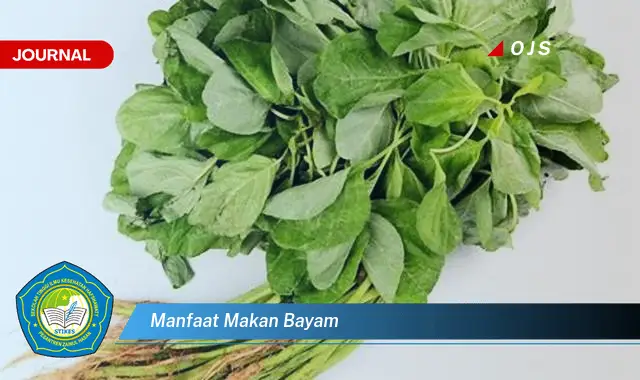 manfaat makan bayam