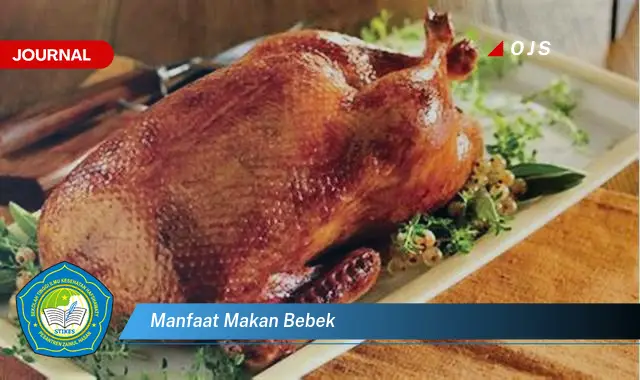 manfaat makan bebek