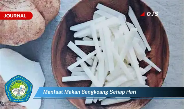 manfaat makan bengkoang setiap hari manfaat makan bengkoang setiap hari