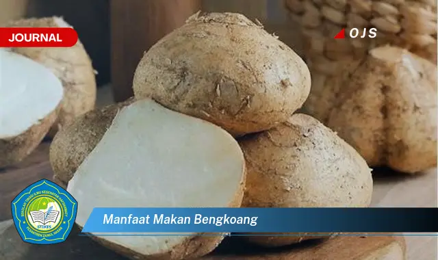 manfaat makan bengkoang manfaat makan bengkoang