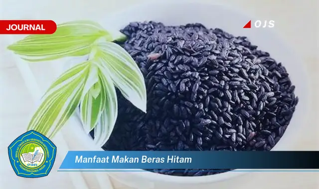 manfaat makan beras hitam