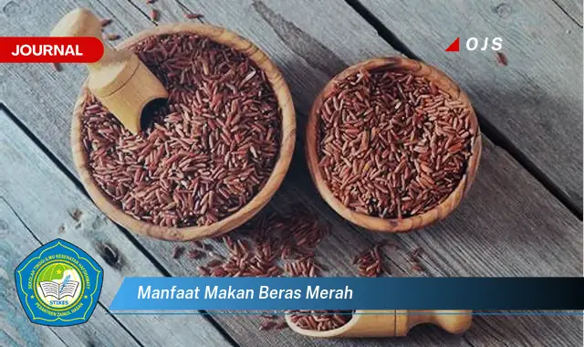 manfaat makan beras merah