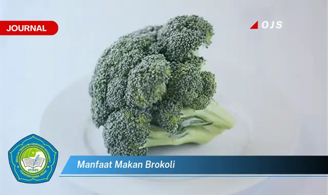 manfaat makan brokoli