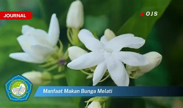 manfaat makan bunga melati manfaat makan bunga melati