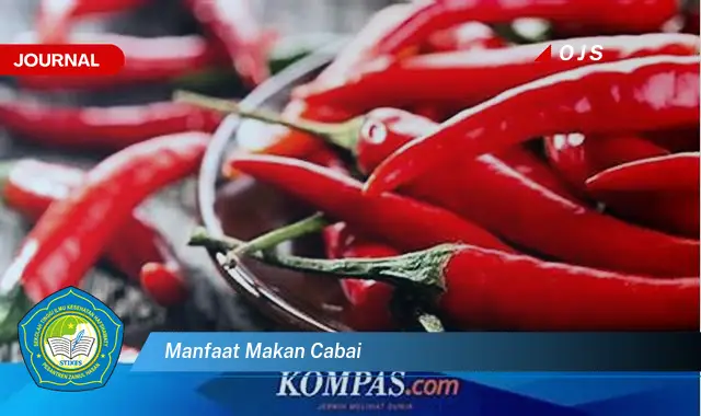 manfaat makan cabai