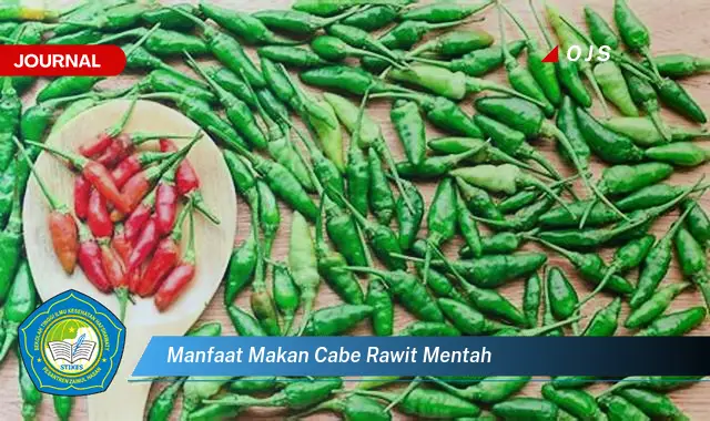 manfaat makan cabe rawit mentah manfaat makan cabe rawit mentah