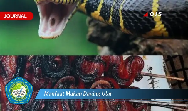 manfaat makan daging ular manfaat makan daging ular